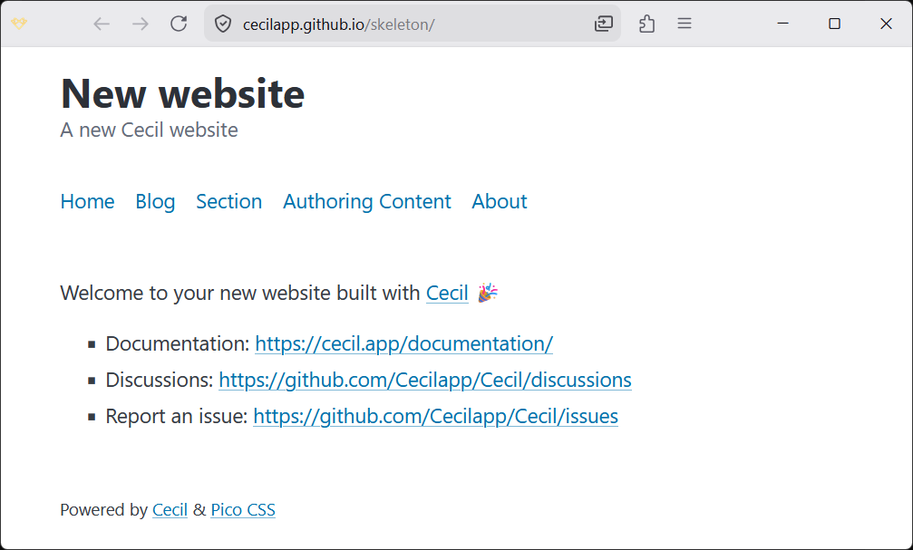 New website example
